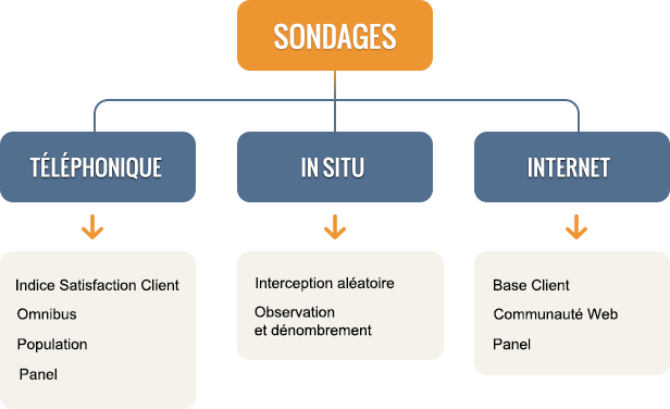 Arborescence des services de sondage de l'observateur